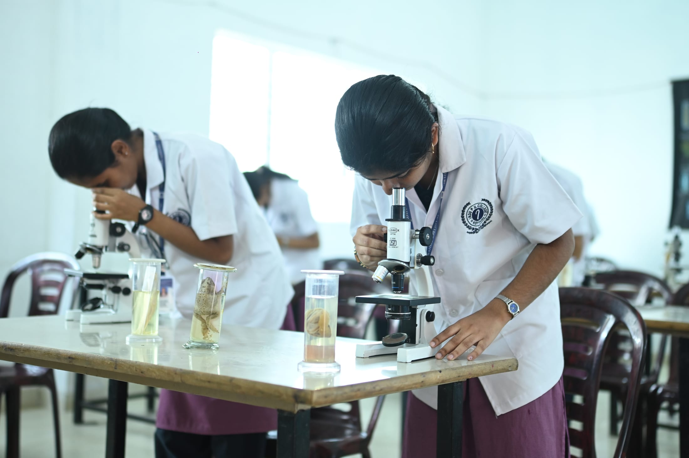 Biology microscope practical